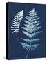 Nature By The Lake - Ferns V-Piper Rhue-Stretched Canvas