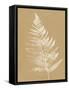 Nature by the Lake Ferns VI Brown-Piper Rhue-Framed Stretched Canvas