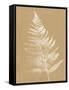 Nature by the Lake Ferns VI Brown-Piper Rhue-Framed Stretched Canvas