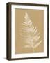 Nature by the Lake Ferns VI Brown-Piper Rhue-Framed Art Print