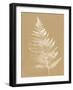 Nature by the Lake Ferns VI Brown-Piper Rhue-Framed Art Print