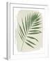 Nature By the Lake Frond II Cream-Piper Rhue-Framed Art Print