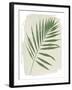 Nature By the Lake Frond II Cream-Piper Rhue-Framed Art Print