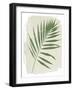 Nature By the Lake Frond II Cream-Piper Rhue-Framed Art Print