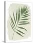 Nature By the Lake Frond II Cream-Piper Rhue-Stretched Canvas