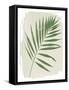 Nature By the Lake Frond II Cream-Piper Rhue-Framed Stretched Canvas