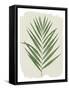 Nature By the Lake Frond III Cream-Piper Rhue-Framed Stretched Canvas