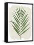 Nature By the Lake Frond III Cream-Piper Rhue-Framed Stretched Canvas