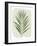 Nature By the Lake Frond III Cream-Piper Rhue-Framed Art Print