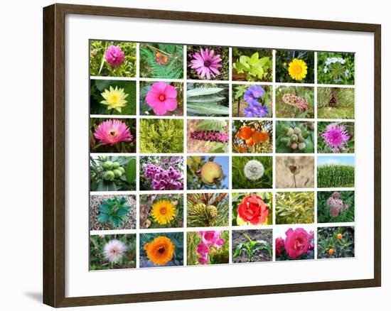 Nature Collage-miff32-Framed Art Print