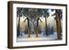 Nature Collection 23-Ata Alishahi-Framed Giclee Print