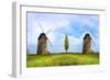 Nature Collection 26-Ata Alishahi-Framed Giclee Print