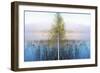 Nature Collection 60-Ata Alishahi-Framed Giclee Print