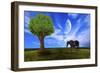 Nature Collection 61-Ata Alishahi-Framed Giclee Print