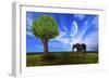 Nature Collection 61-Ata Alishahi-Framed Giclee Print