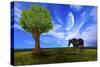 Nature Collection 61-Ata Alishahi-Stretched Canvas