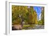 Nature Collection 63-Ata Alishahi-Framed Giclee Print