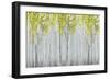 Nature Collection 65-Ata Alishahi-Framed Giclee Print