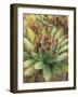 Nature Delight III-Danhui Nai-Framed Art Print