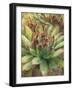 Nature Delight III-Danhui Nai-Framed Art Print