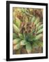 Nature Delight III-Danhui Nai-Framed Art Print