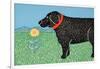 Nature Dog Good Dog-Stephen Huneck-Framed Giclee Print