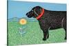 Nature Dog Good Dog-Stephen Huneck-Stretched Canvas