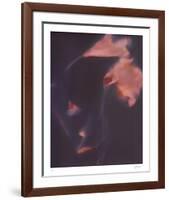 Nature Fade - Beam-Sarah Hart Morgan-Framed Limited Edition