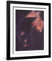 Nature Fade - Beam-Sarah Hart Morgan-Framed Limited Edition