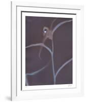 Nature Fade - Gloss-Sarah Hart Morgan-Framed Limited Edition