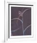 Nature Fade - Gloss-Sarah Hart Morgan-Framed Limited Edition