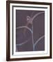 Nature Fade - Gloss-Sarah Hart Morgan-Framed Limited Edition