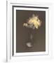 Nature Fade - Radiate-Sarah Hart Morgan-Framed Limited Edition