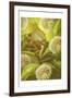 Nature Fairy-null-Framed Art Print