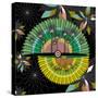 Nature Fan, Coconut Color-Belen Mena-Stretched Canvas
