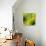 Nature Fan, Green Leaves Color-Belen Mena-Stretched Canvas displayed on a wall