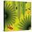 Nature Fan, Green Leaves Color-Belen Mena-Stretched Canvas