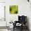 Nature Fan, Green Leaves Color-Belen Mena-Mounted Giclee Print displayed on a wall