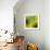 Nature Fan, Green Leaves Color-Belen Mena-Framed Giclee Print displayed on a wall