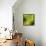 Nature Fan, Green Leaves Color-Belen Mena-Framed Stretched Canvas displayed on a wall