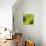 Nature Fan, Green Leaves Color-Belen Mena-Stretched Canvas displayed on a wall