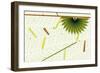 Nature Fan, Green Leaves-Belen Mena-Framed Giclee Print