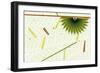 Nature Fan, Green Leaves-Belen Mena-Framed Giclee Print