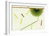 Nature Fan, Green Leaves-Belen Mena-Framed Giclee Print