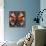 Nature Fan, Moth Color-Belen Mena-Giclee Print displayed on a wall