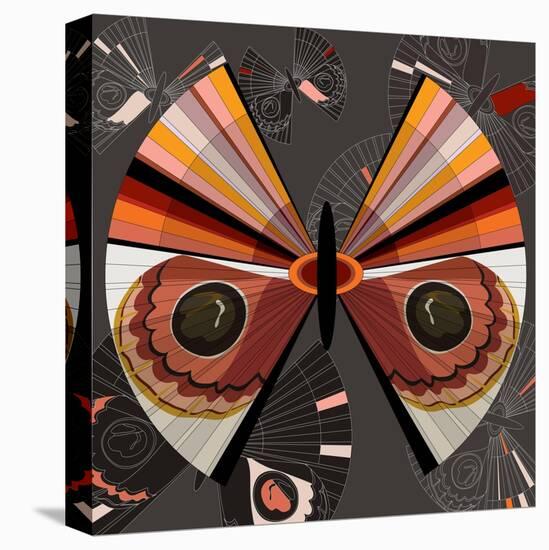 Nature Fan, Moth Color-Belen Mena-Stretched Canvas