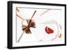 Nature Fan, Moth-Belen Mena-Framed Giclee Print