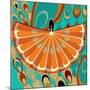 Nature Fan, Orange Color-Belen Mena-Mounted Giclee Print