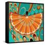 Nature Fan, Orange Color-Belen Mena-Framed Stretched Canvas