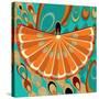 Nature Fan, Orange Color-Belen Mena-Stretched Canvas